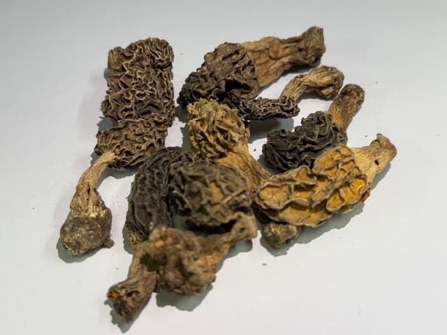 Morel Gucchi Mushrooms - (50 Grams)