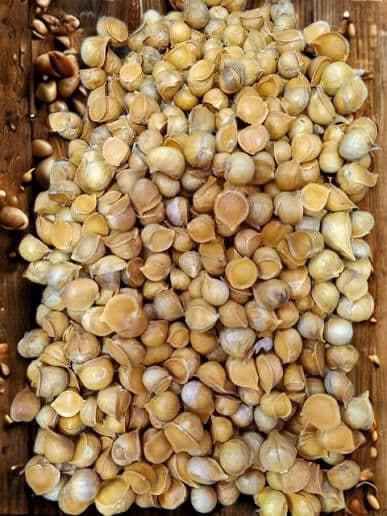 Kashmiri Garlic (Lehsun) - 100 Grams