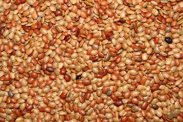 Kulthi Dal aka Horse Gram (1 KG )
