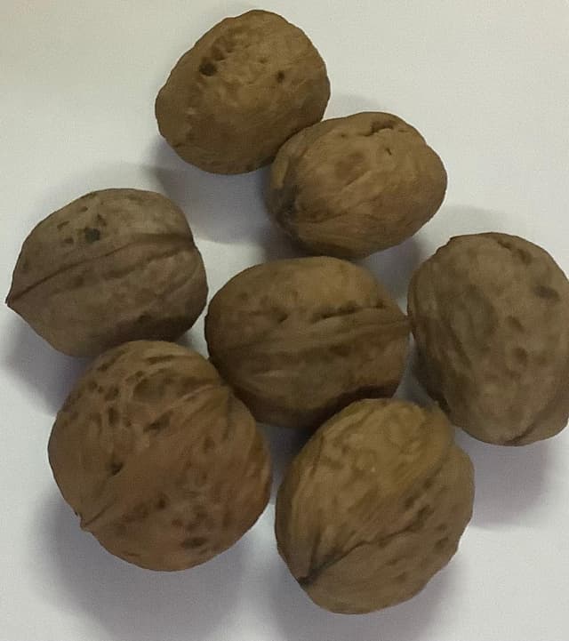 Walnut Whole (500 Grams)